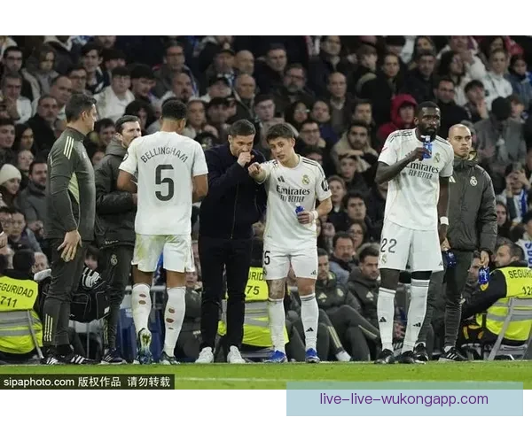 聚焦足球事实直播回放全面解析比赛关键瞬间与战术演变深度观察